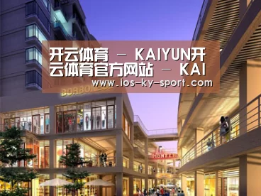 案例展示一(图1)