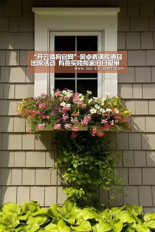 开云体育官网